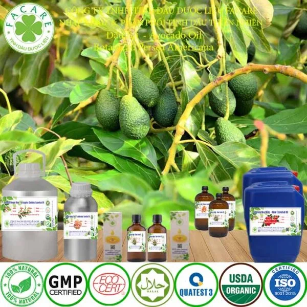 tinh dầu bơ ép lạnh bán lẻ giá sỉ