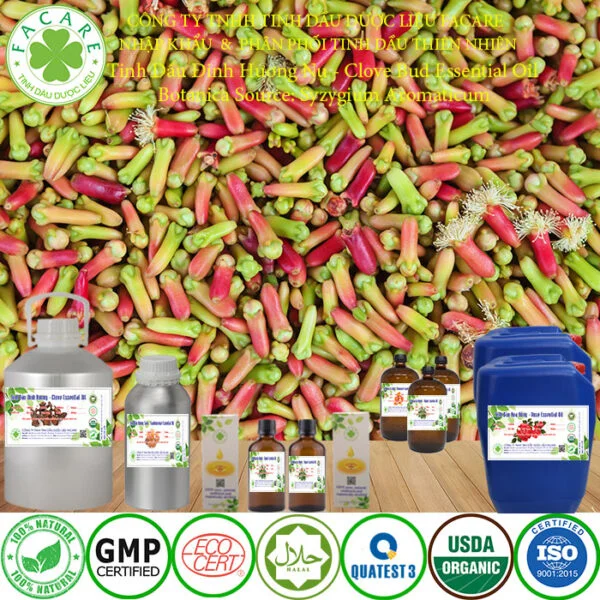 tinh dầu đinh hương nụ nguyên chất giá sỉ 1