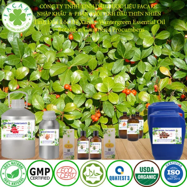 tinh dầu lộc đề xanh nguyên chất giá sỉ 6