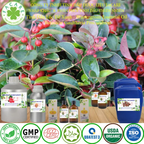 tinh dầu lộc đề xanh nguyên chất giá sỉ 7