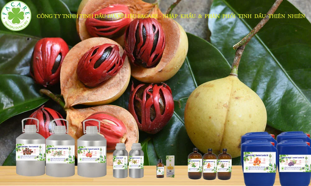 tinh dầu nhục đậu khấu nguyên liệu dược mỹ phẩm