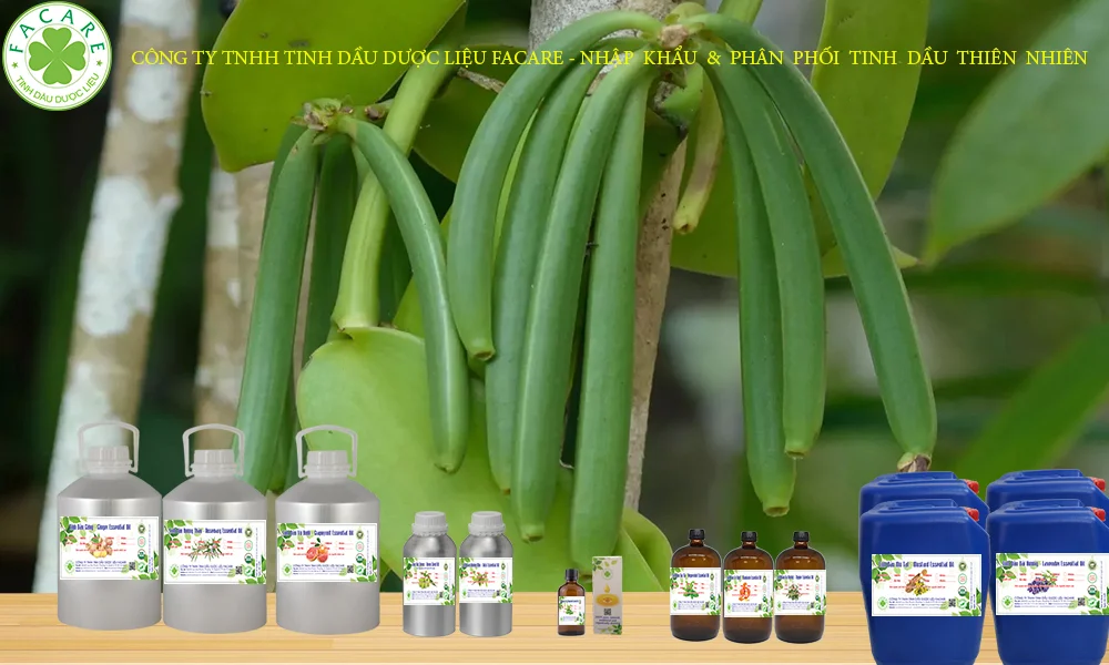 tinh dầu vani sỉ lẻ nguyên chất 11