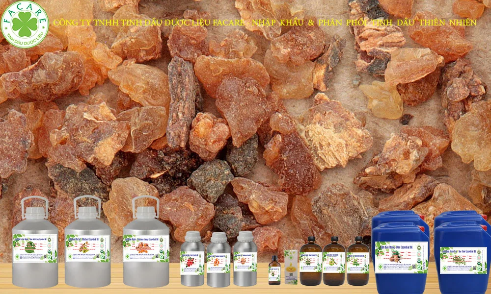 TINH DẦU NHỰA CÁNH KIẾN