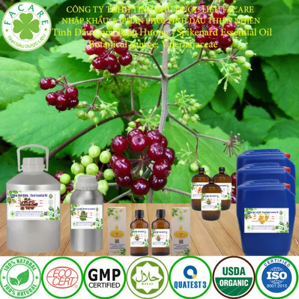 Tinh DẦU cam tùng hương buôn giá sỉ 7