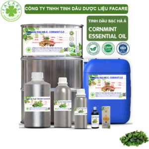 Tinh Dầu Bạc Hà Á - Cornmint Giá Sỉ