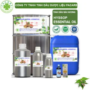 Tinh Dầu Bài Hương - Hyssop Giá Sỉ