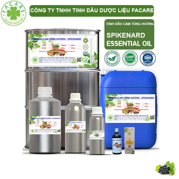 Tinh Dầu Cam Tùng Hương - Spikenard Giá Sỉ