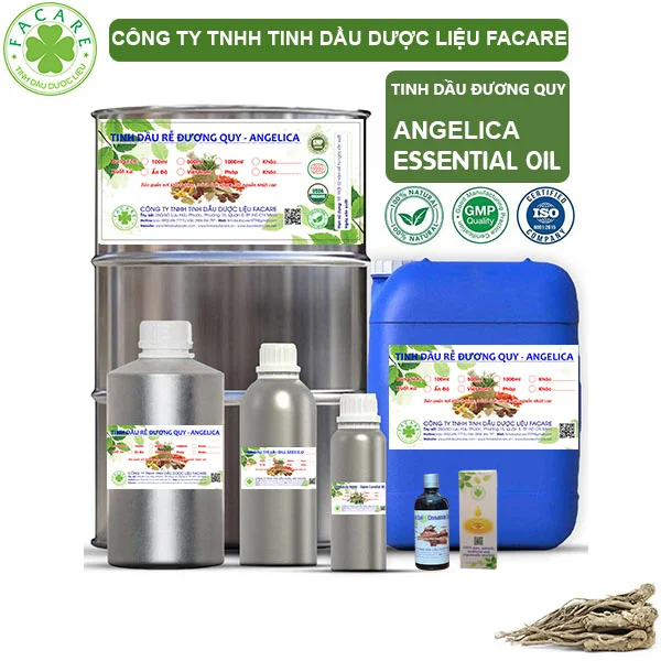 Tinh Dầu Đương Quy Rễ - Angelica Giá Sỉ