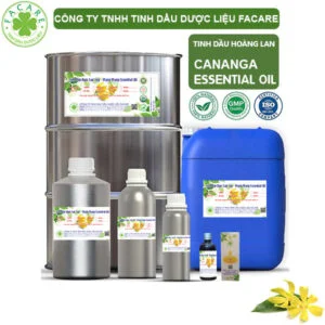 Tinh Dầu Hoàng Lan - Cananga Giá Sỉ