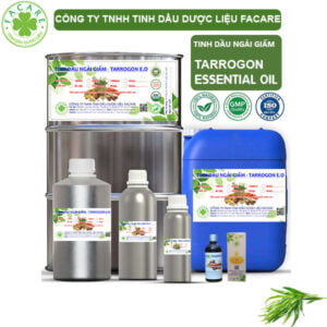 Tinh Dầu Ngải Giấm - Tarrogon Giá Sỉ