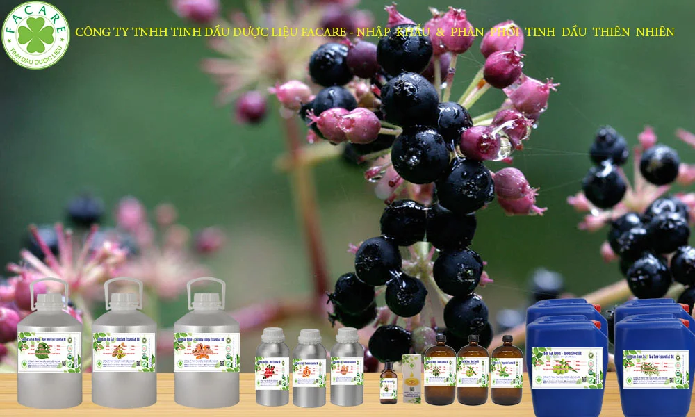 Tinh dầu CaM TÙNG HƯƠNG nguyên chất 11