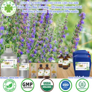 Tinh Dầu Bài Hương (Hyssop Essential Oil) có thể xem là một loại thảo dược có khả năng chống viêm, kháng khuẩn, chống oxy hóa, điều trị ho, cảm lạnh, cúm, viêm phế quản, hen suyễn, giảm viêm khớp và thư giản cơ bắp.