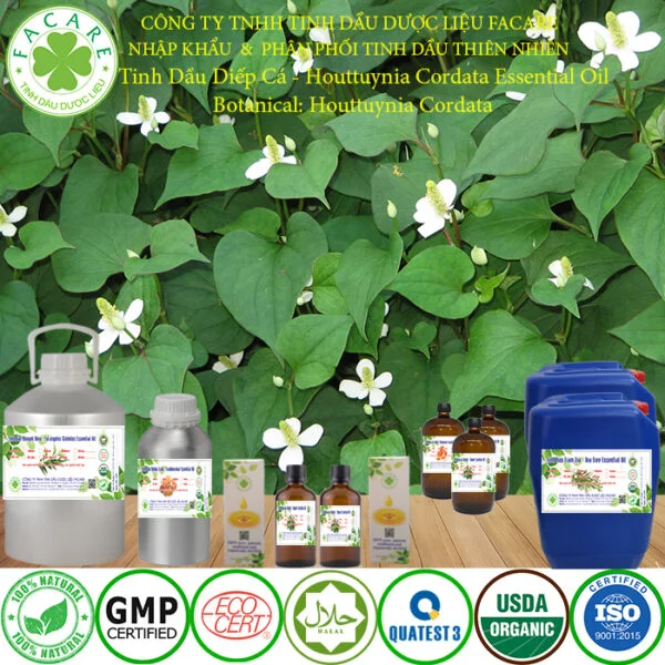 tinh dầu RAU DIẾP CÁ giá sỉ