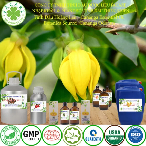 tinh dầu hoàng lan GIÁ SỈ
