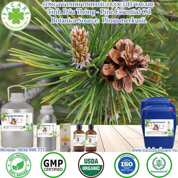 9 Công Dụng Tuyệt Vời Của Tinh Dầu Thông - Pine