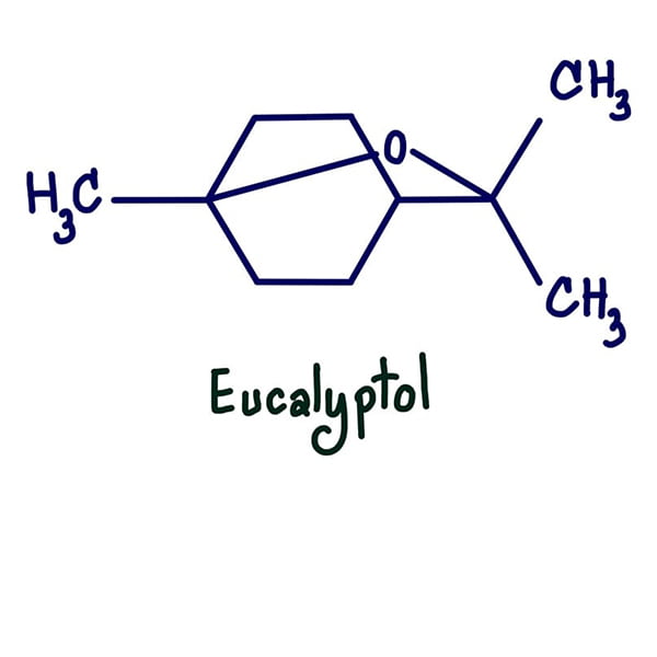 Eucalyptol (Cineole) 5