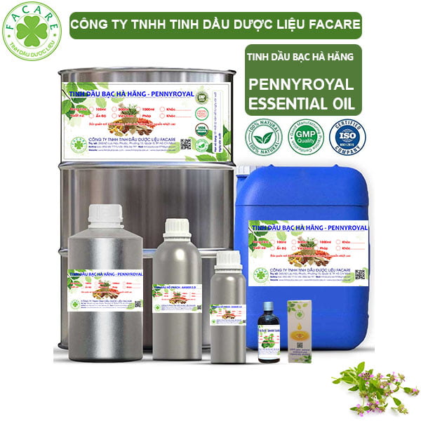 Tinh Dầu Bạc Hà Hăng - Pennyroyal Giá Sỉ