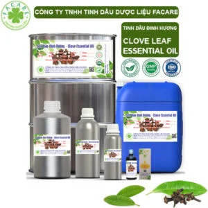 Tinh Dầu Đinh Hương Lá - Clove Leaf Giá Sỉ