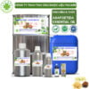 Tinh Dầu A Thùy - Asafoetida Giá Sỉ