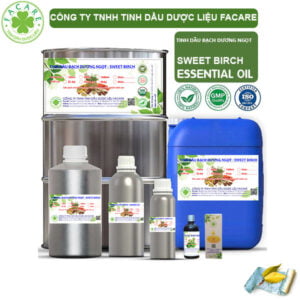 Tinh Dầu Bạch Dương Ngọt - Sweet Birch Giá Sỉ