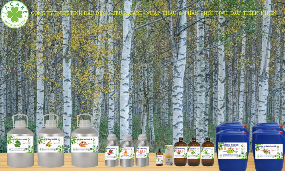 Tinh Dầu Bạch Dương Tar - Birch Tar Essential Oil 8