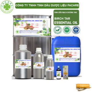 Tinh Dầu Bạch Dương Tar - Birch Tar Giá Sỉ