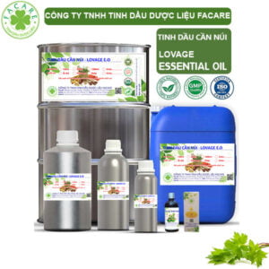 Tinh Dầu Cần Núi - Lovage Giá Sỉ