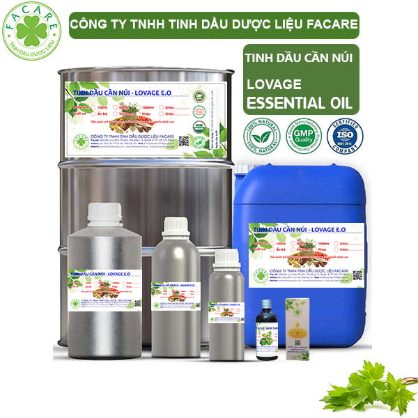 Tinh Dầu Cần Núi - Lovage Giá Sỉ