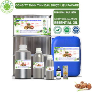 Tinh Dầu Địa Liền - Kaempferia Galangal Giá Sỉ