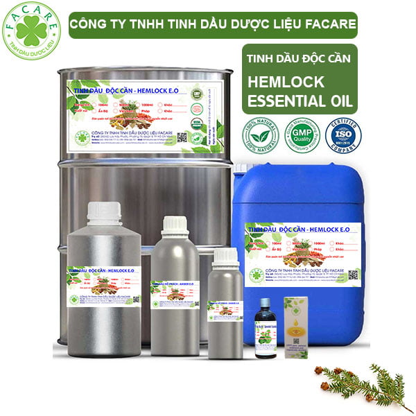 Tinh Dầu Độc Cần - Hemlock Giá Sỉ