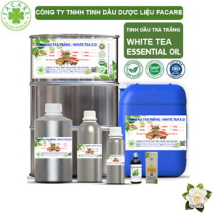 Tinh Dầu Trà Trắng - White Tea Giá Sỉ