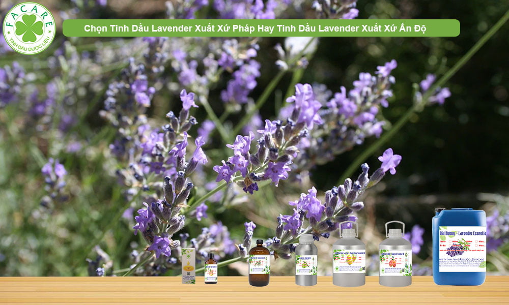 CUNG CẤP SỈ LẺ TINH DẦU LAVENDER FRANCE