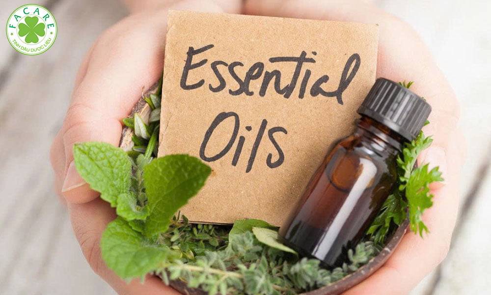 Đặc Tính Của Tinh Dầu (Essential Oil) 