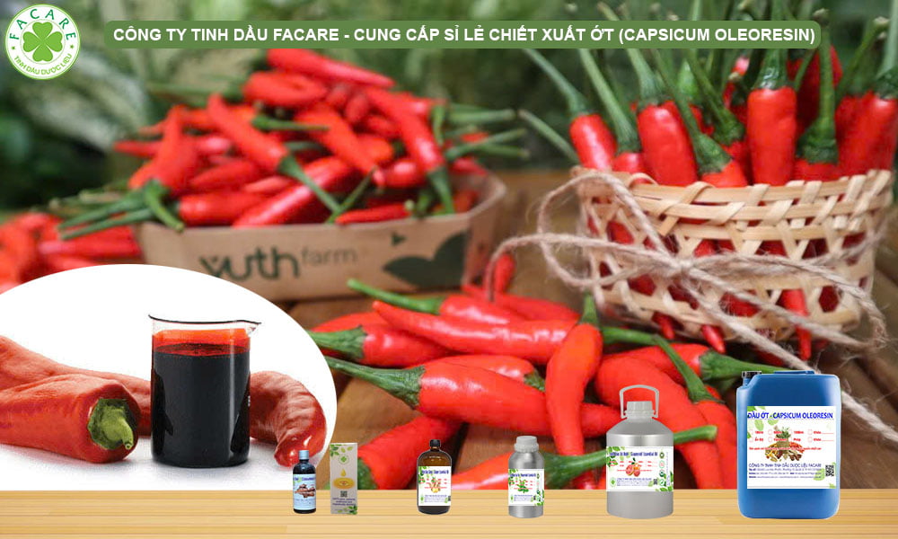 Capsicum Oleoresin (Chiết Xuất Ớt) Là Gì 1