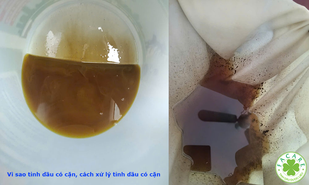Vì sao tinh dầu có cặn, cách xử lý tinh dầu có cặn 1