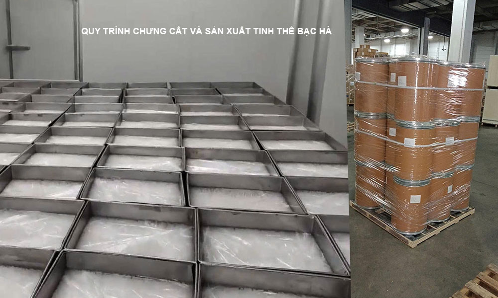 QUY TRÌNH CHƯNG CẤT VÀ SẢN XUẤT TINH THỂ BẠC HÀ