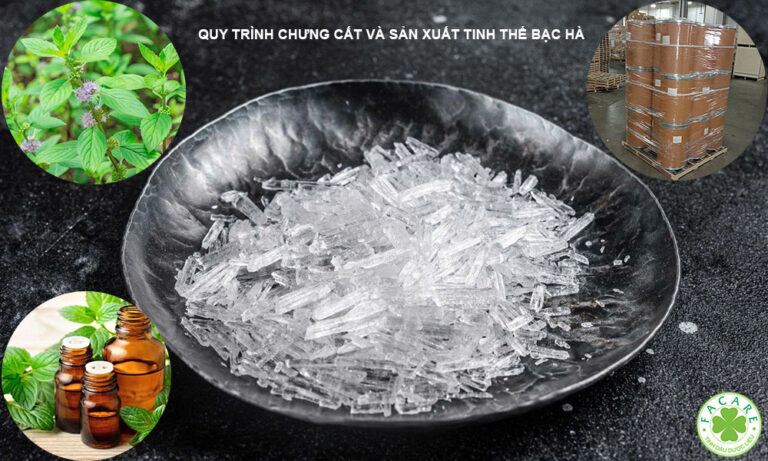 Quá trình chưng cất và sản xuất Tinh thể Bạc Hà băng