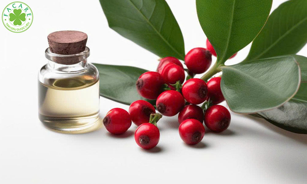 Tinh Dầu Lộc Đề (Winter green) nguyên liệu dầu xoa bóp 2