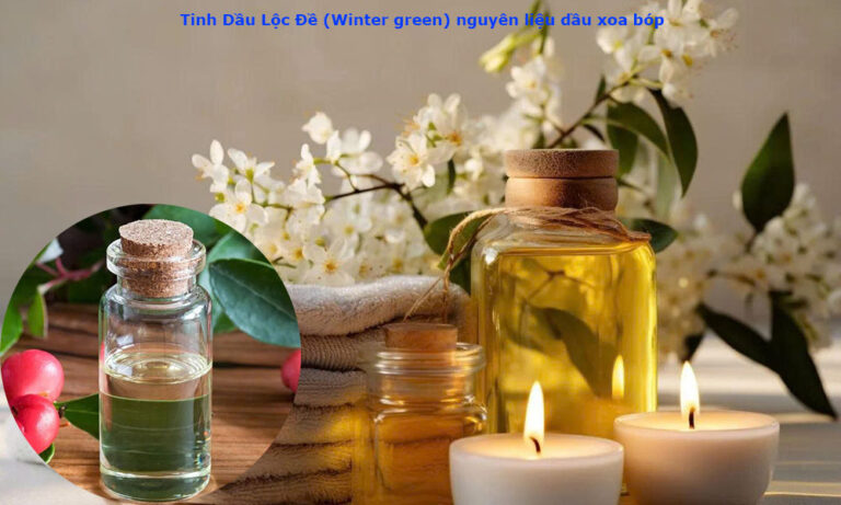 Tinh Dầu Lộc Đề (Winter green) nguyên liệu dầu xoa bóp 3